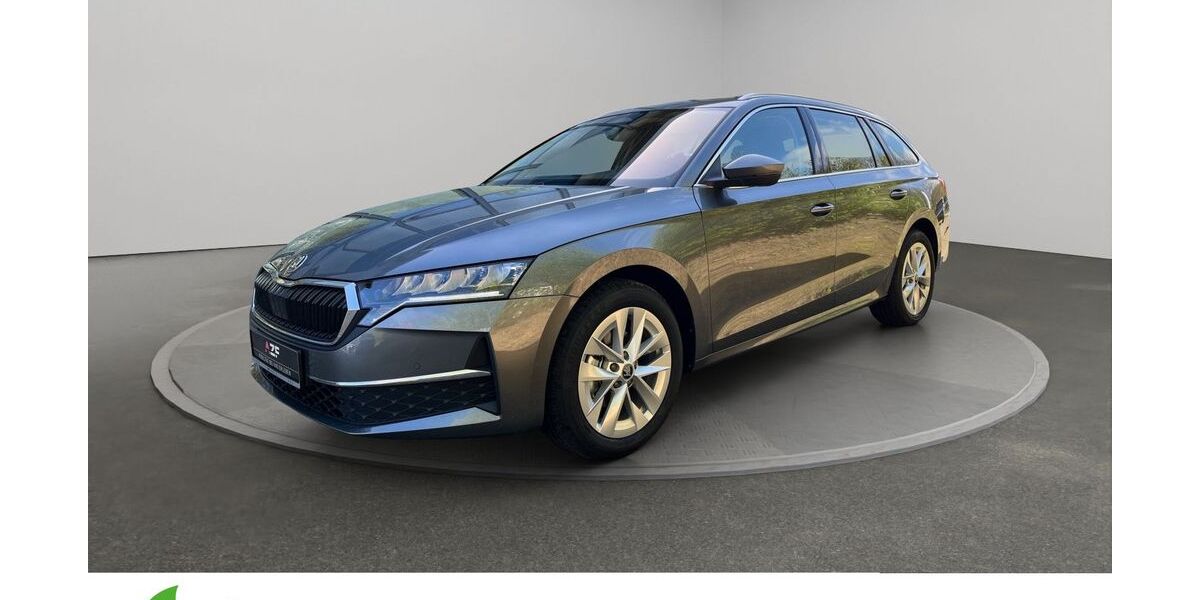 Skoda Octavia 1.001 km 32.890 &euro; Schleswig 24837