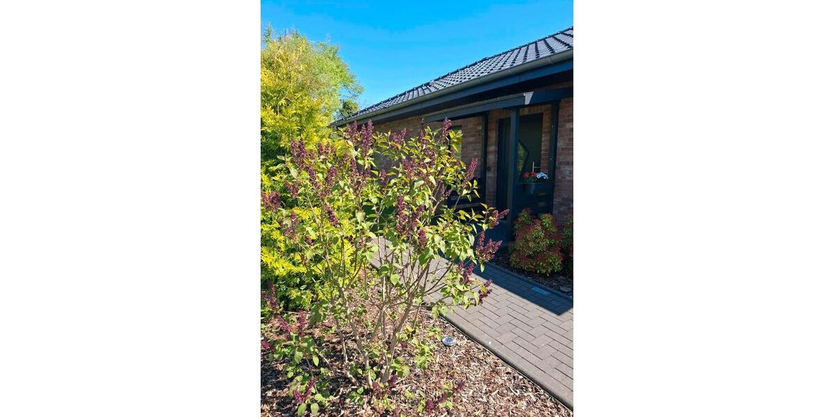 Bungalow Kropp - 3 Zimmer, 69 m&sup2;, 349.000&euro; | Angebot:26414478