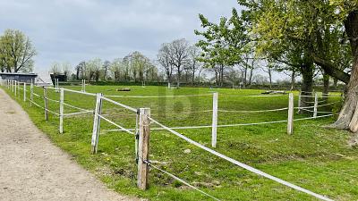 RESTHOF AM REITERHOF - Einfamilienhaus Oldersbek | Angebot:26421150