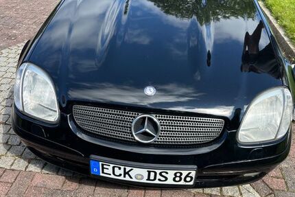 Mercedes-Benz SLK 200 246.000 km 4.700 &euro; Ascheffel 24358