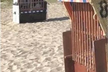 Wohnung Gettorf - 2 Zimmer, 55 m&sup2;, 850&euro; | Angebot:24850142