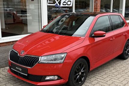 Skoda Fabia 54.000 km 15.890 &euro; Büdelsdorf 24782