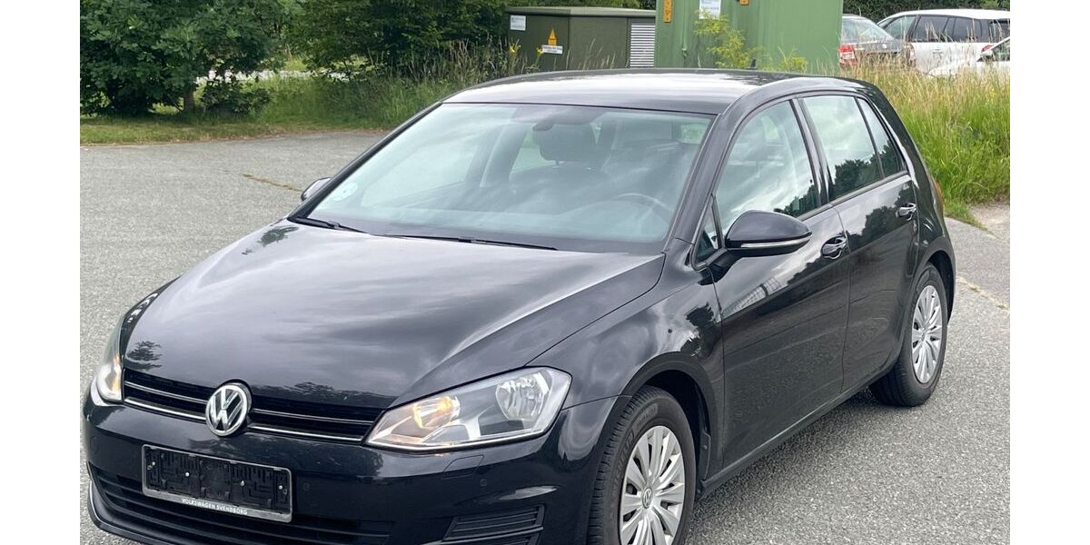 VW Golf 257.000 km 7.350 &euro; Bilschau 24988
