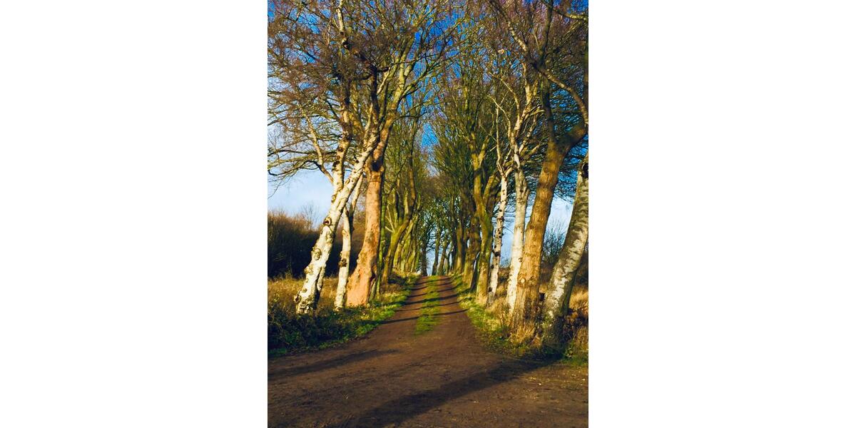 Einfamilienhaus Ulsnis - 2 Zimmer, 52 m&sup2;, 1.100&euro; | Angebot:25169948