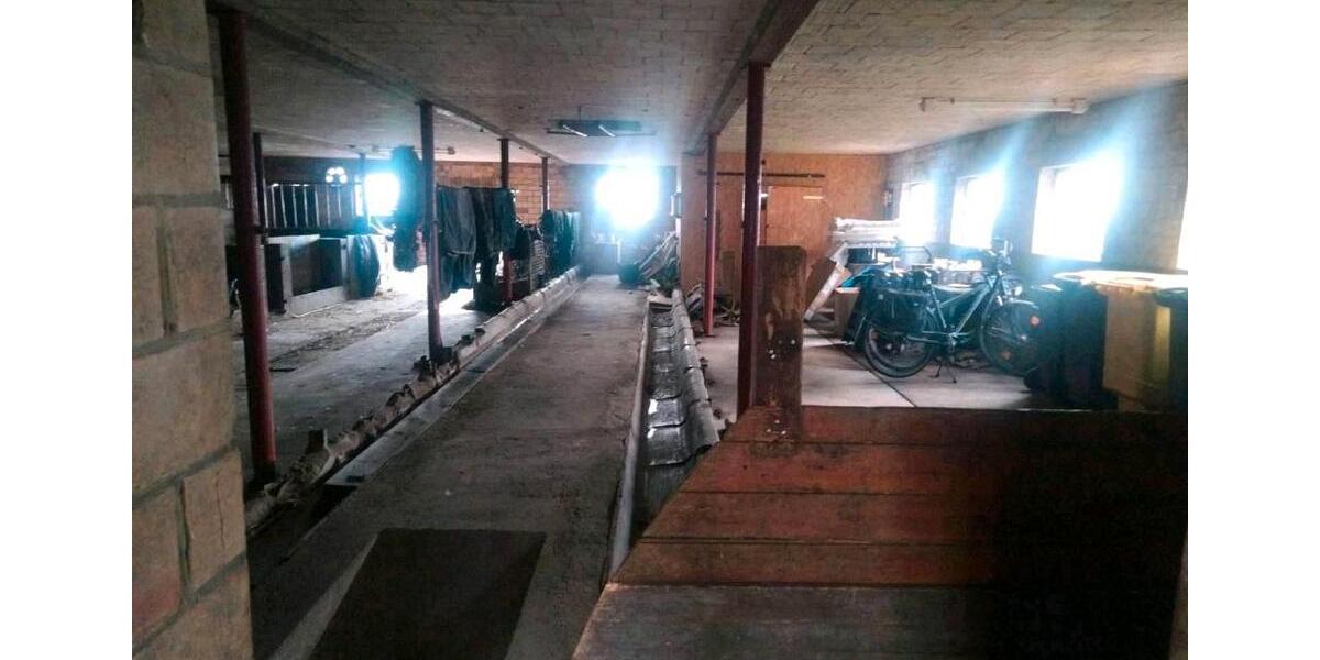 Bauernhaus, Landhaus Wester-Ohrstedt Ohrstedt - 6 Zimmer, 200 m&sup2;, 399.990&euro; | Angebot:26603134
