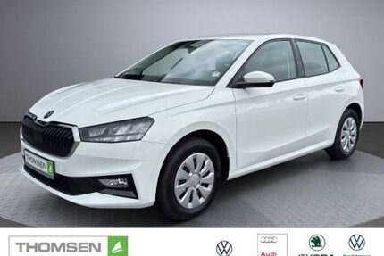 Skoda Fabia 1.100 km 17.990 &euro; Kropp 24848