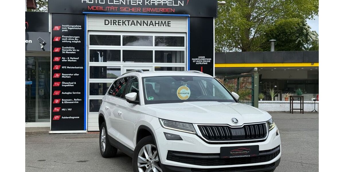 Skoda Kodiaq 199.250 km 18.490 &euro; Kappeln 24376