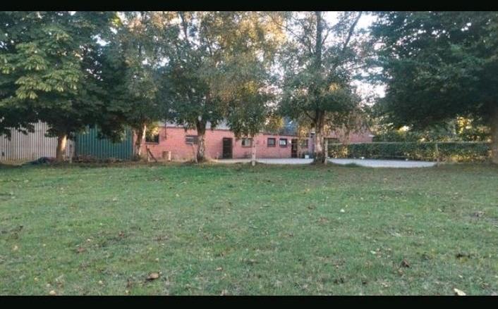 Bauernhaus, Landhaus Wester-Ohrstedt Ohrstedt - 6 Zimmer, 200 m&sup2;, 390.000&euro; | Angebot:25941279