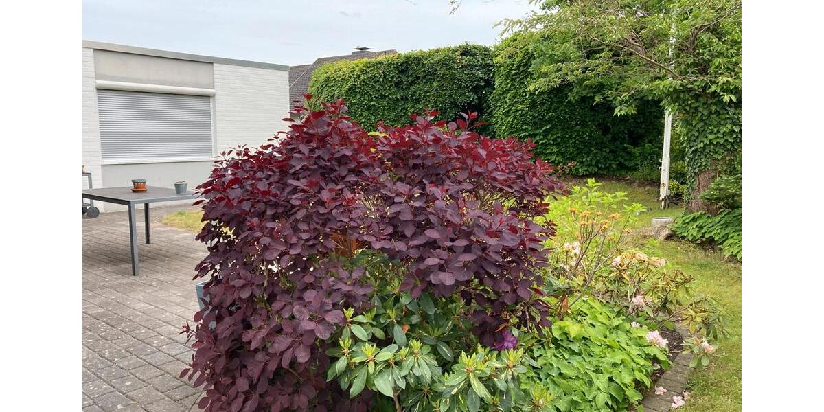 Einfamilienhaus Eckernförde - 4 Zimmer, 141 m&sup2;, 650.000&euro; | Angebot:24244266