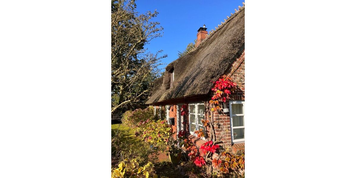 Traumhaftes Reetdach-Ein-Zweifamilienhaus mit parkähnlichem Garten in Angeln - Zweifamilienhaus Scheggerott | Angebot:26565370