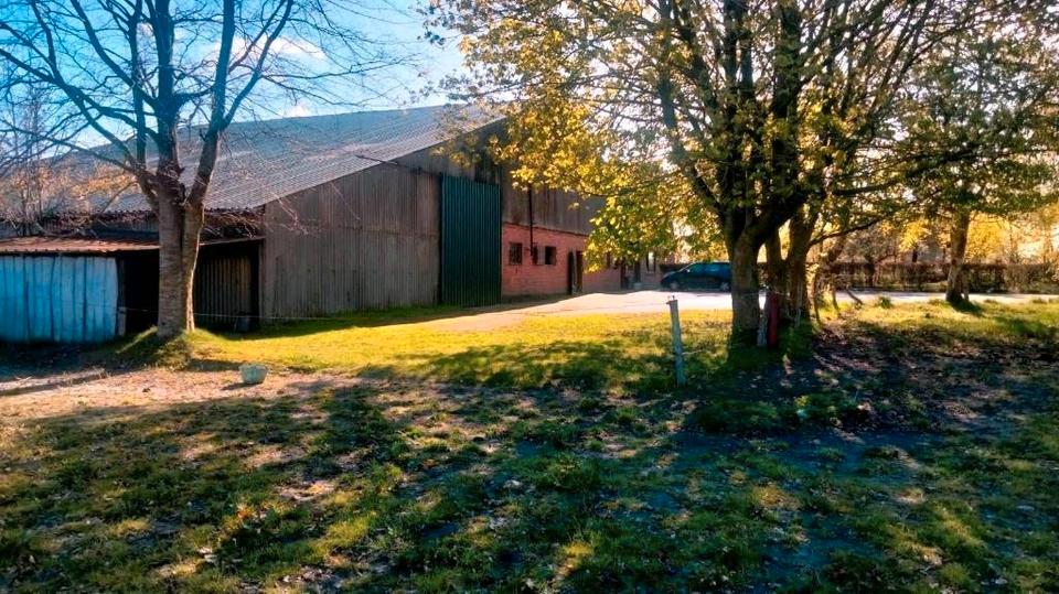 Bauernhaus, Landhaus Wester-Ohrstedt Ohrstedt - 6 Zimmer, 200 m&sup2;, 399.990&euro; | Angebot:26603134