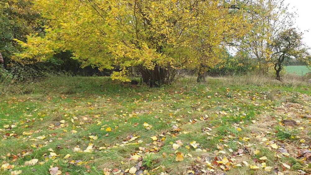 Bauernhaus, Landhaus Rabenkirchen-Faulück Faulück - 4 Zimmer, 150 m&sup2;, 199.000&euro; | Angebot:25797257