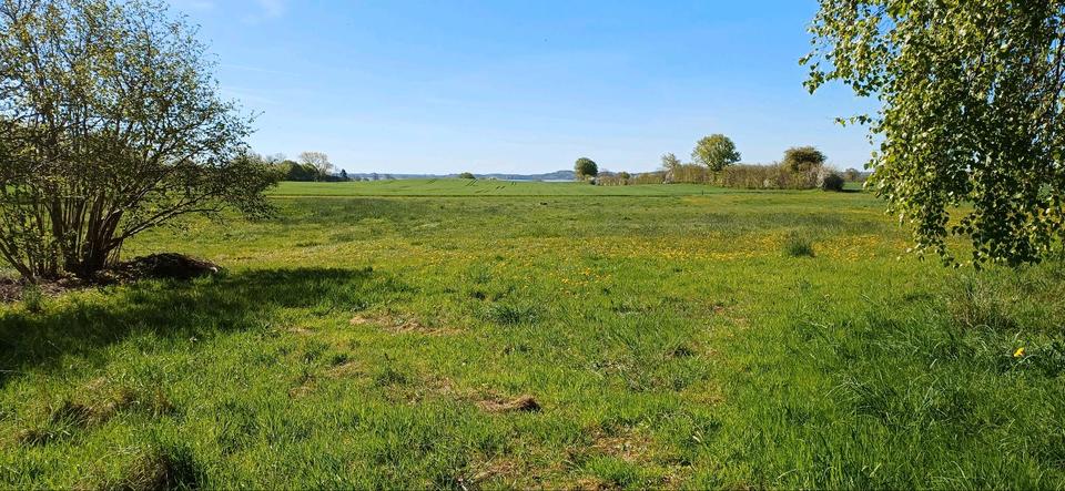 Einfamilienhaus Brodersby-Goltoft Goltoft - 9 Zimmer, 179 m&sup2;, 748.000&euro; | Angebot:26780526