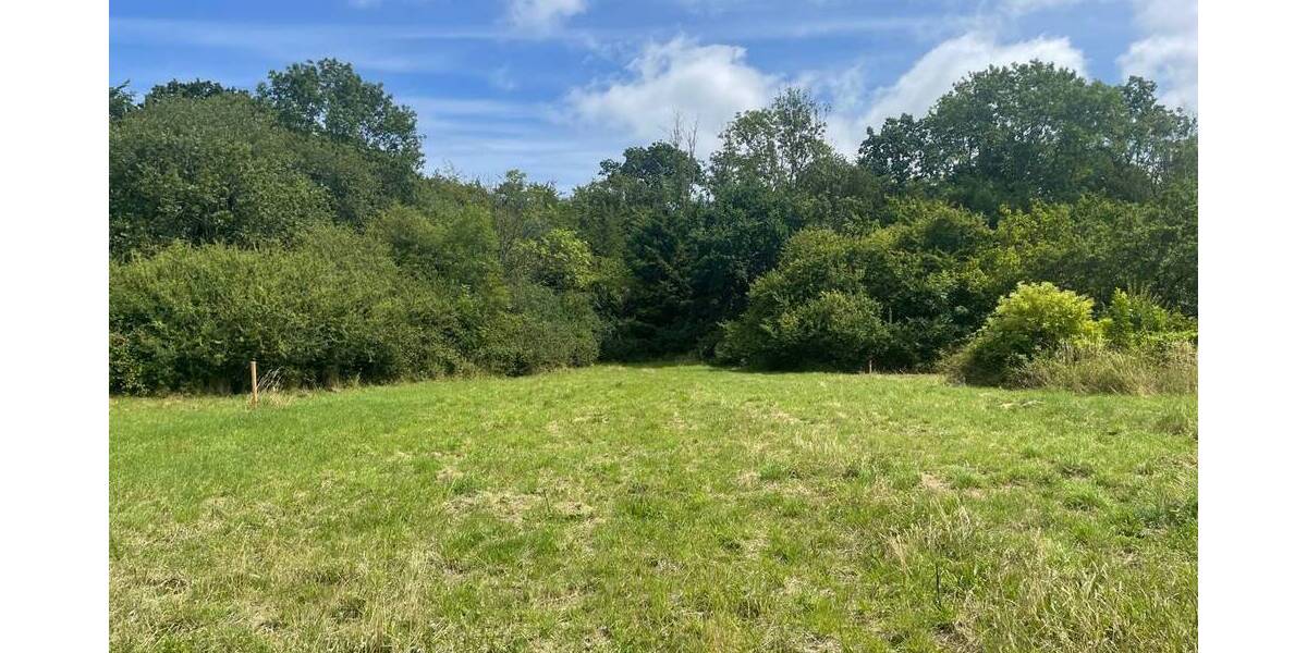 Grundstück Kappeln - 371.450&euro; | Angebot:25705788