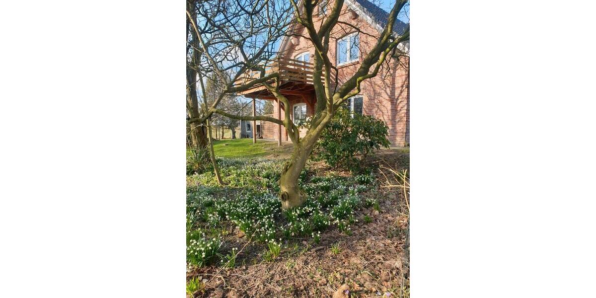 Dachgeschoßwohnung Groß Wittensee - 3.5 Zimmer, 78 m&sup2;, 1.000&euro; | Angebot:25934451