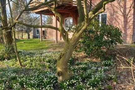 Wohnung Groß Wittensee - 3.5 Zimmer, 78 m&sup2;, 1.000&euro; | Angebot:25934451