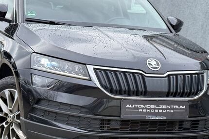 Skoda Karoq 149.000 km 19.799 &euro; Rendsburg 24768