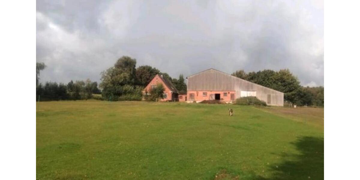 Bauernhaus, Landhaus Wester-Ohrstedt Ohrstedt - 6 Zimmer, 200 m&sup2;, 385.000&euro; | Angebot:27131746