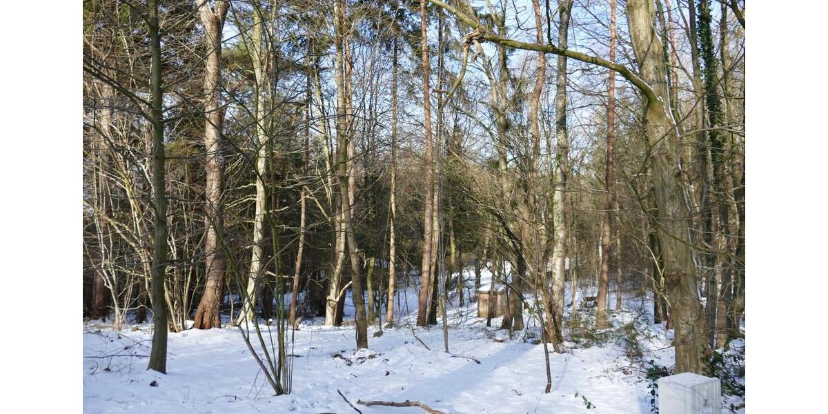 Einfamilienhaus Owschlag - 5 Zimmer, 115 m&sup2;, 466.000&euro; | Angebot:25088708