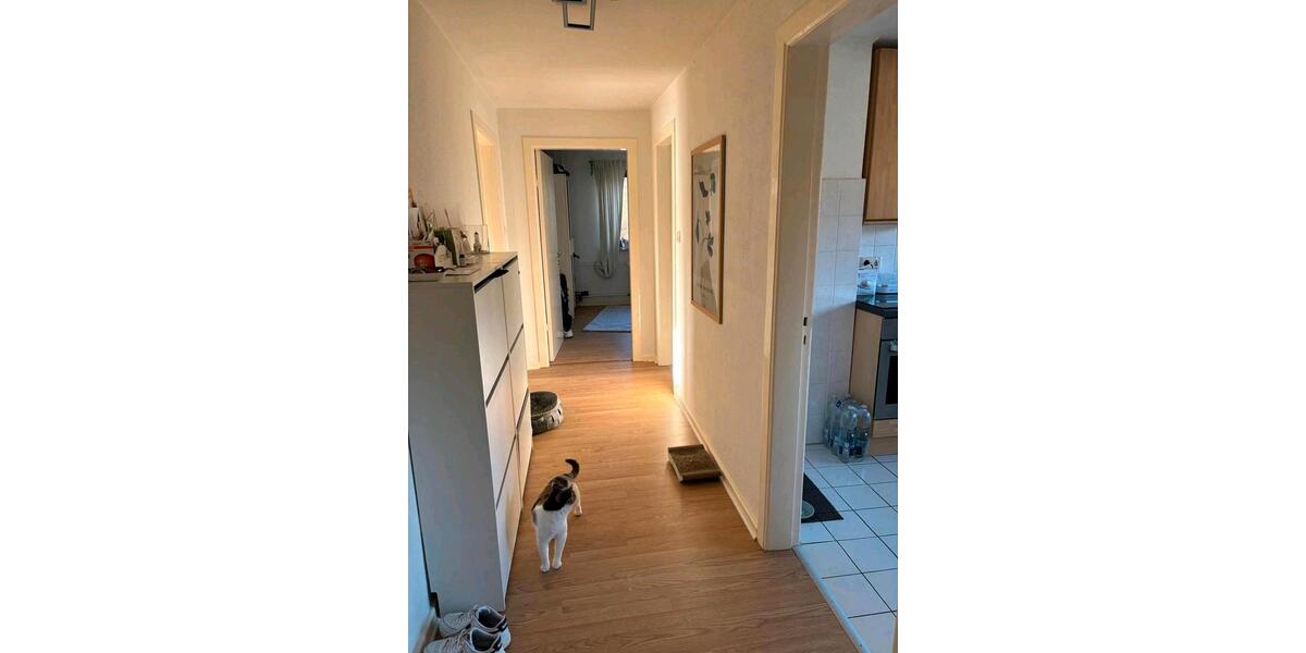 Dachgeschoßwohnung Schleswig - 3 Zimmer, 63 m&sup2;, 850&euro; | Angebot:25966550