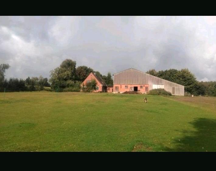 Bauernhaus, Landhaus Wester-Ohrstedt Ohrstedt - 6 Zimmer, 200 m&sup2;, 385.000&euro; | Angebot:27021397