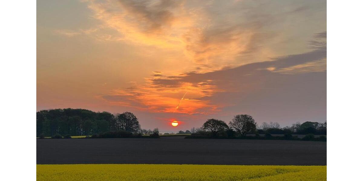Erdgeschoßwohnung Steinbergkirche - 1.5 Zimmer, 33 m&sup2;, 119.000&euro; | Angebot:25824226