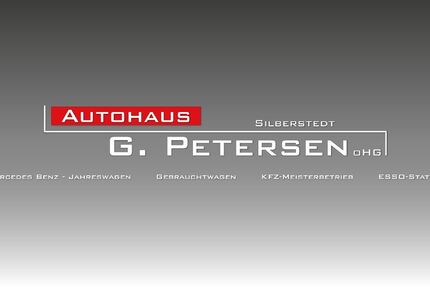 VW Golf 113.600 km 18.590 &euro; Silberstedt 24887