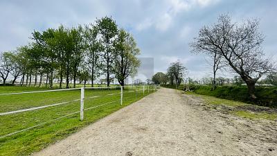 RESTHOF AM REITERHOF - Haus Oldersbek | Angebot:26421150
