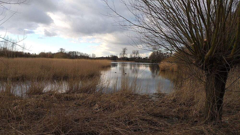 Reihenmittelhaus Rendsburg - 4 Zimmer, 100 m&sup2;, 264.000&euro; | Angebot:25728176