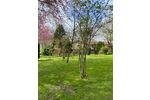 Wer hat Lust auf Natur Entspannung? Wunderschöne EG- Wohnung in Satrup - Appartement Mittelangeln Alt Rehberg | Angebot:26634001
