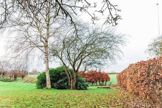 Einfamilienhaus Schnarup-Thumby Thumby - 1 Zimmer, 269 m&sup2;, 225.000&euro; | Angebot:25661140