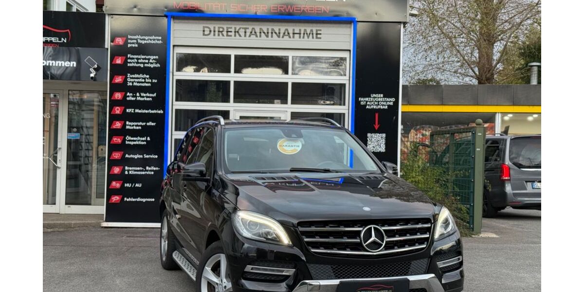 Mercedes-Benz ML 250 198.000 km 16.490 &euro; Kappeln 24376