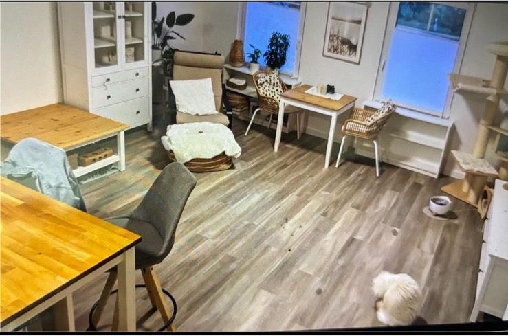 Erdgeschoßwohnung Jörl - 2 Zimmer, 58 m&sup2;, 650&euro; | Angebot:25925421