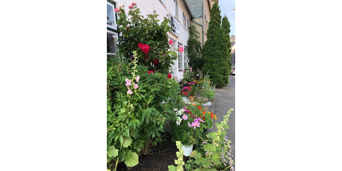 Einfamilienhaus Schleswig - 6 Zimmer, 250 m&sup2;, 145.000&euro; | Angebot:23821589