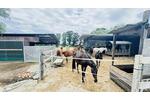 RESTHOF AM REITERHOF - Einfamilienhaus Oldersbek | Angebot:26421150