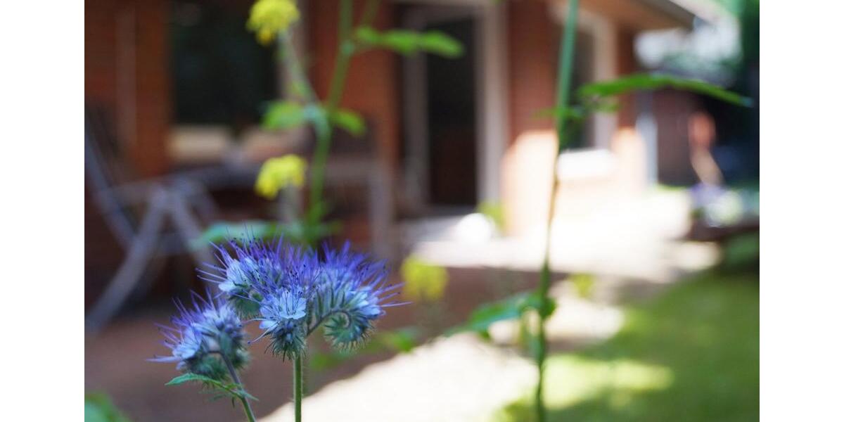 Reihenhaus Kropp - 3 Zimmer, 88 m&sup2;, 255.000&euro; | Angebot:25098075