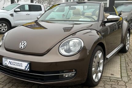 VW Beetle 227.684 km 13.950 &euro; Wester-Ohrstedt 25885
