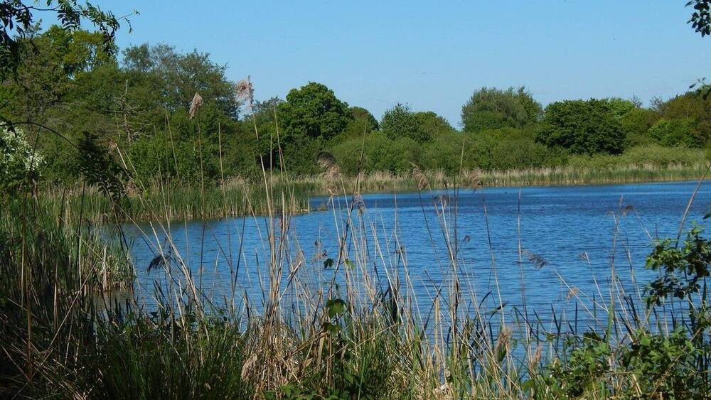 Einfamilienhaus Owschlag - 8 Zimmer, 320 m&sup2;, 1.750.000&euro; | Angebot:25968357