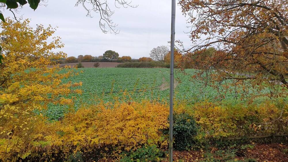 Bauernhaus, Landhaus Rabenkirchen-Faulück Faulück - 4 Zimmer, 150 m&sup2;, 199.000&euro; | Angebot:25797257