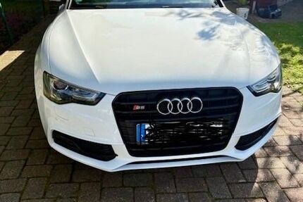 Audi S5 193.800 km 11.000 &euro; Schleswig 24837