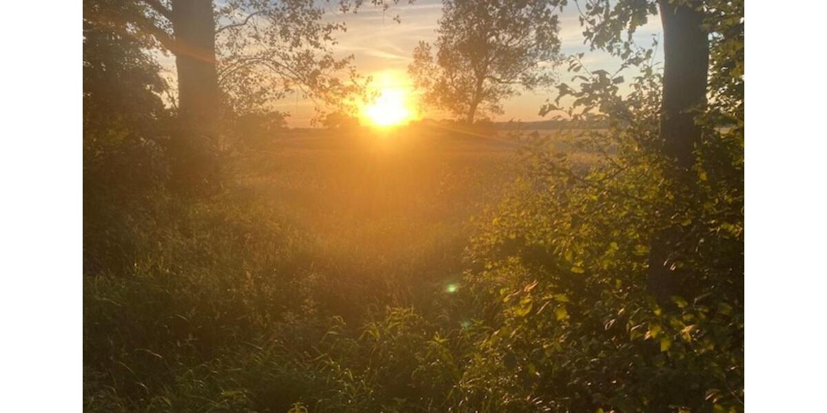 Erdgeschoßwohnung Schülp bei Rendsburg - 3 Zimmer, 100 m&sup2;, 1.300&euro; | Angebot:25642813