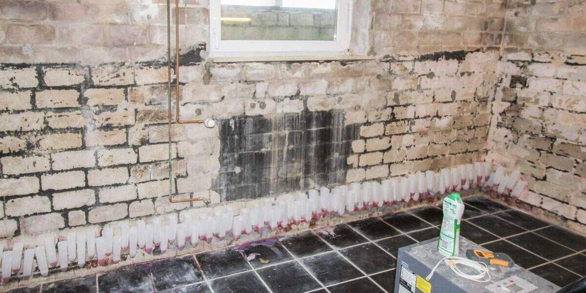 Einfamilienhaus Stolk - 6 Zimmer, 419.000&euro; | Angebot:25718971