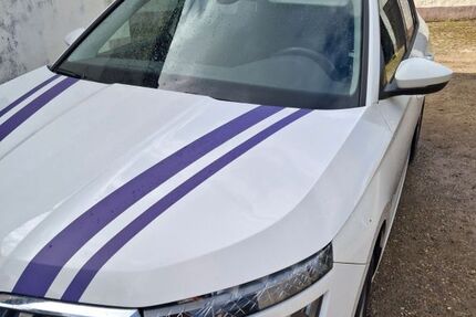 Skoda Kamiq 98.500 km 14.300 &euro; Ulsnis 24897