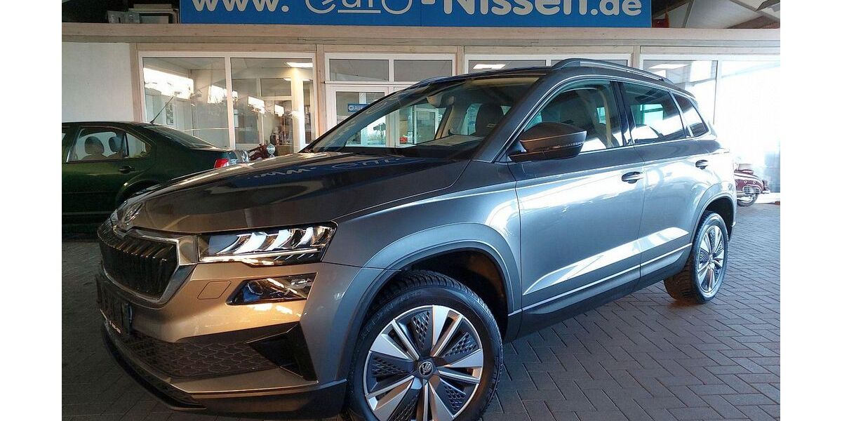 Skoda Karoq 29.604 km 23.590 &euro; Steinbergkirche 24972