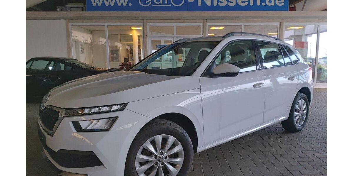 Skoda Kamiq 56.100 km 16.950 &euro; Steinbergkirche 24972