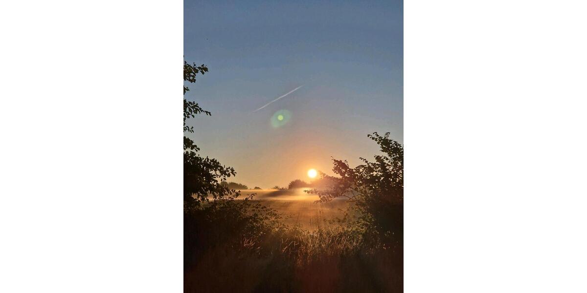 Bungalow Groß Wittensee - 4 Zimmer, 120 m&sup2;, 644.000&euro; | Angebot:24649636