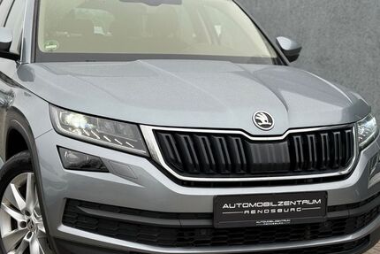 Skoda Kodiaq 191.000 km 19.799 &euro; Rendsburg 24768