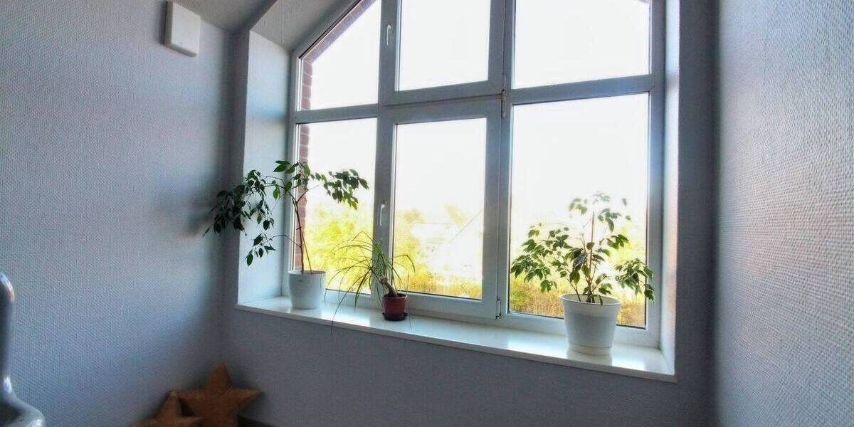 Mehrfamilienhaus, Wohnhaus Tarp - 2 Zimmer, 527 m&sup2;, 790.000&euro; | Angebot:26143190