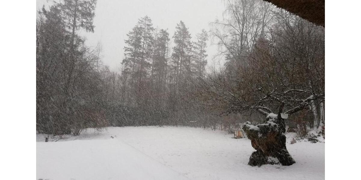 Einfamilienhaus Owschlag - 5 Zimmer, 115 m&sup2;, 466.000&euro; | Angebot:26040915