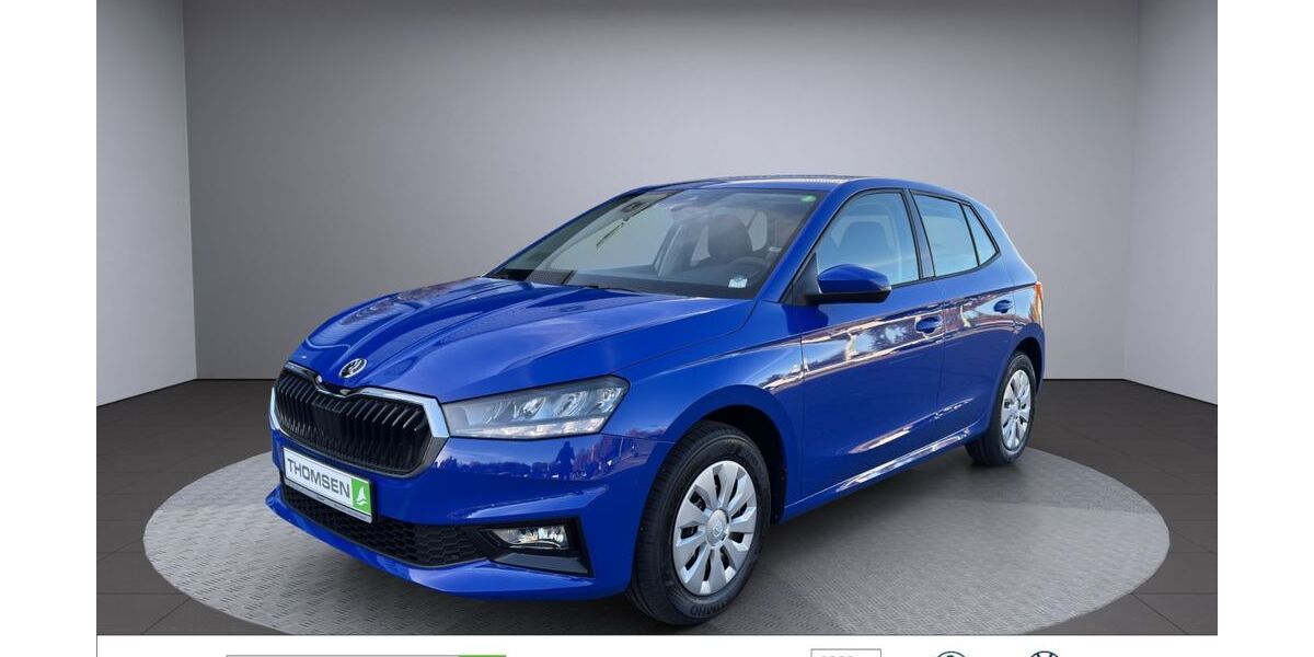 Skoda Fabia 1.100 km 17.890 &euro; Kropp 24848